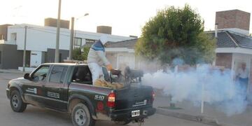 Fumigacion mosquitos en Arroyito