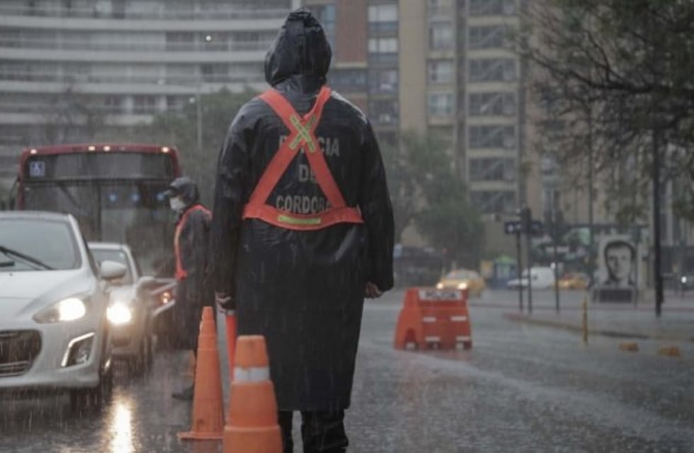 ¿Quiénes tienen que tramitar Certificado Único para circular?
