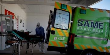 Reportan 246 nuevos casos de coronavirus en Mar del Plata (web)