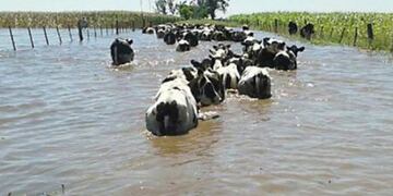 Contigiani criticu00f3 la polu00edtica nacional por la falta de ayuda ante la crisis hidrica