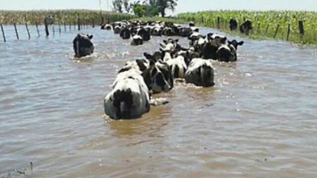 Contigiani criticu00f3 la polu00edtica nacional por la falta de ayuda ante la crisis hidrica