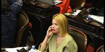 La diputada del Frente de Todos, agraviada en las redes\u002E