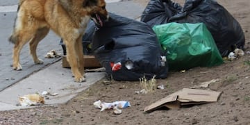 Residuos Voluminosos