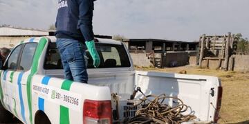 Policía Agro\u002E Faena