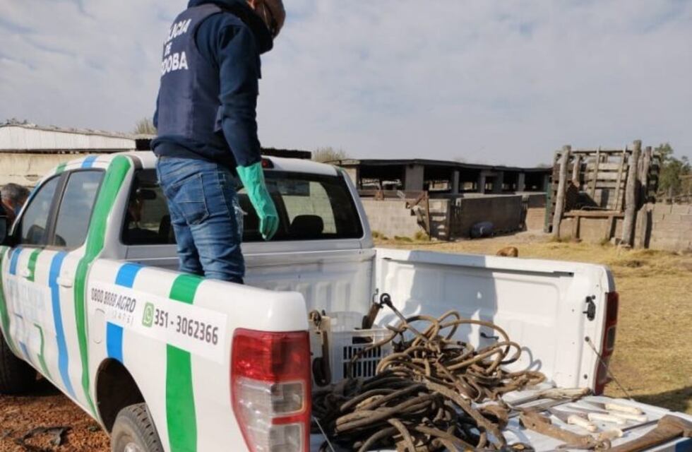 Colonia Caroya: clausuraron un establecimiento de faena clandestina
