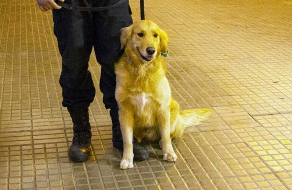 Murió un perro de la Policía de La Pampa especializado en operativos antidrogas