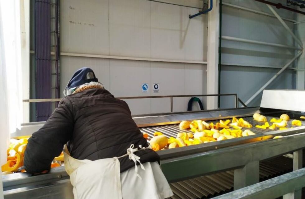 En San Rafael producen pulpa de zapallo para después deshidratar y saborizar sopas en sobre