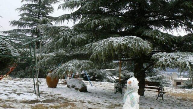 Última gran nevada en Carlos Paz, un 9 de julio de 2007. (Foto: Facebook / Sergio Tonarelli).