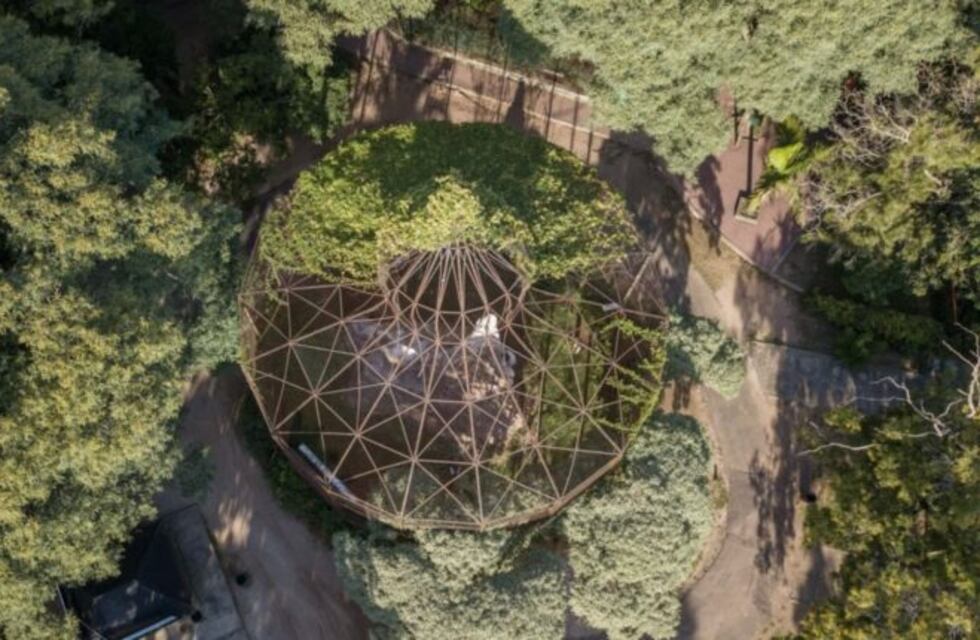 La Municipalidad denunció a los jóvenes que entraron al Zoo de La Plata en plena cuarentena