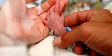 El Ministerio de Salud anunció el cronograma actividades previstas para la “Semana de la Prematurez”