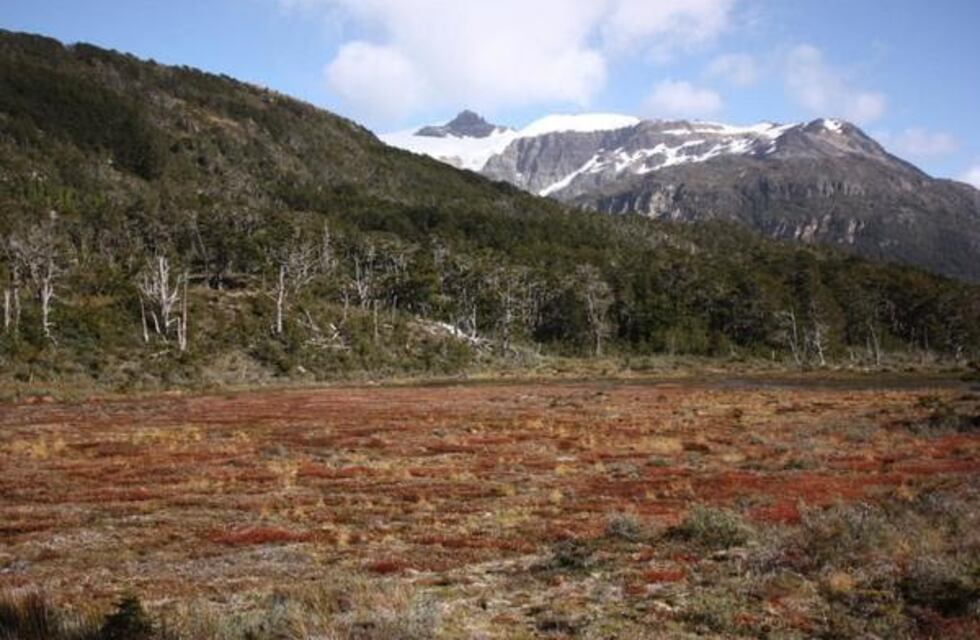 Funcionarios del Ministerio de Industria visitan la planta que industrializará turba