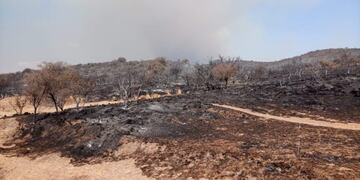 Incendio forestal (imagen ilustrativa)