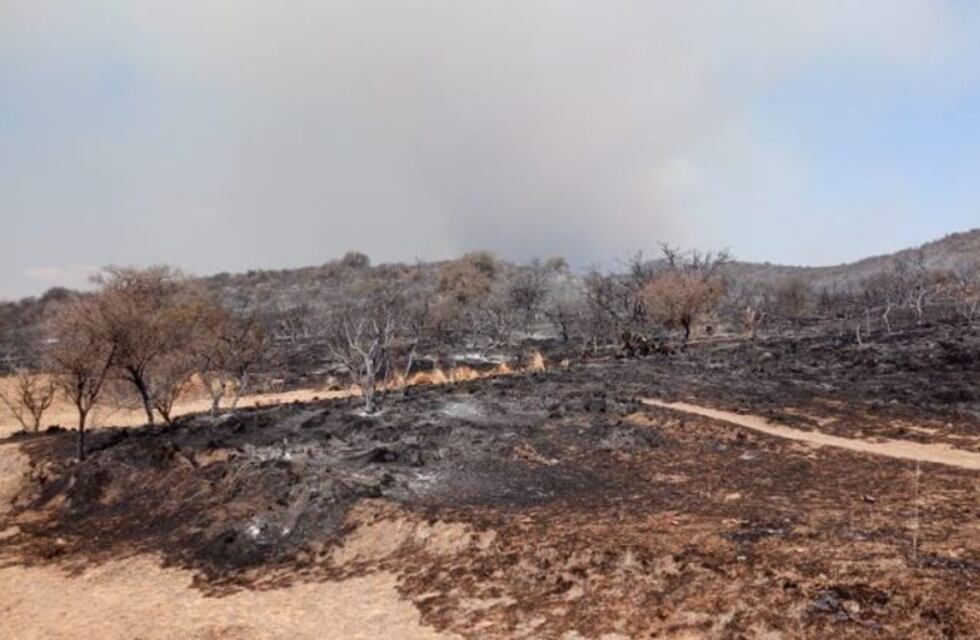 Incendio forestal en el norte de la Provincia de Córdoba