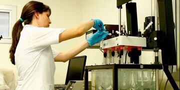 Investigadores del Conicet Nordeste desarrollaron una nueva forma de absorber la droga que combate el Mal de Chagas\u002E