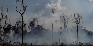 An area smolders in the Alvorada da Amazonia region in Novo Progresso, Para state, Brazil, Sunday, Aug\u002E 25, 2019\u002E (AP Photo/Leo Correa)