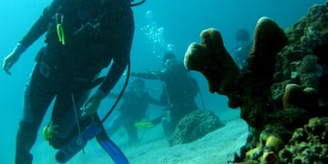 (EFE/DENNIS M\u002E SABANGAN)