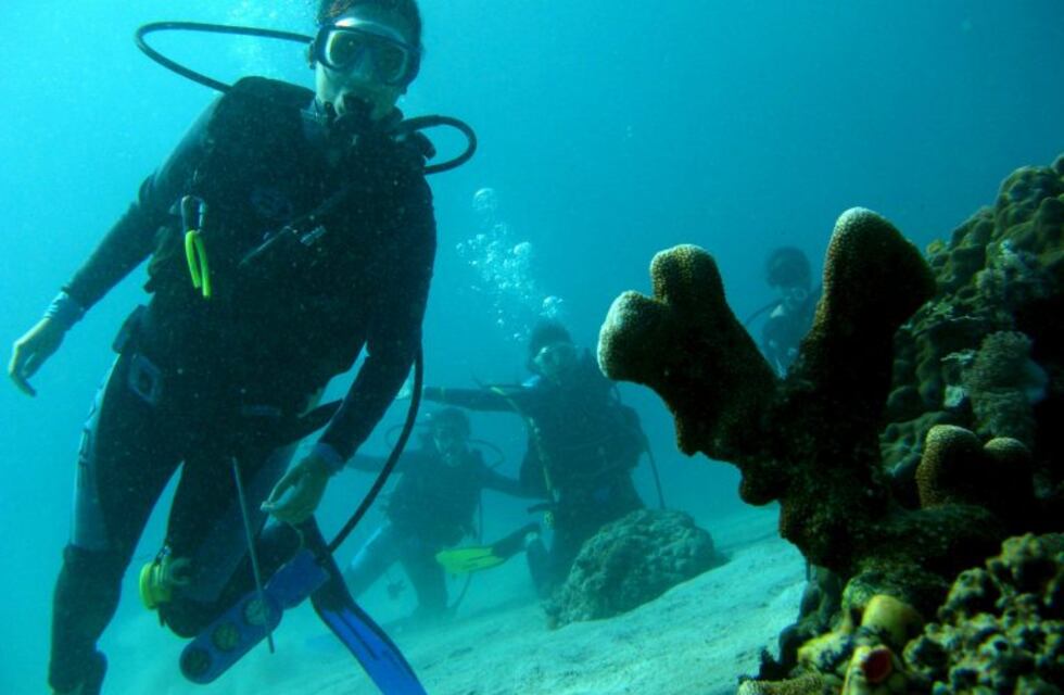 Qué es el "bautismo de buceo", la causa de la muerte de una turista argentina en Tailanda