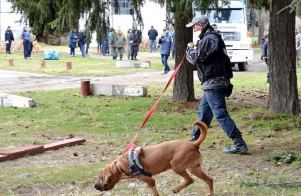 Caso Maldonado: los primeros rastrillajes de la Policía no encontraron ningún cuerpo