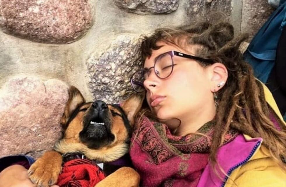 La historia de la perrita que quedó varada en Salta tuvo un final feliz