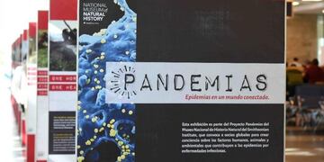 Las obras se podrán ver en el hall del aeropuerto local\u002E