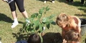 Desde Bien Común Invitaron a plantar árboles