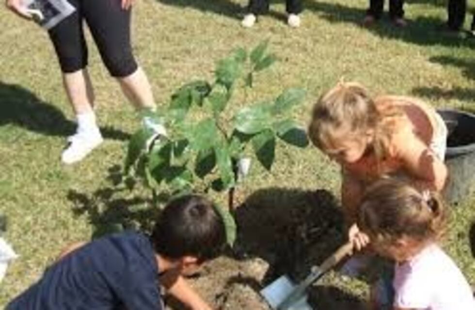 Invitan a plantar árboles en la Semana de la Tierra