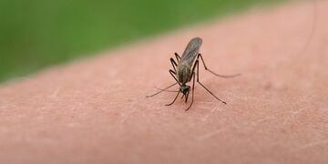 Los controles se refuerzan en estos días en varios sectores de la ciudad\u002E