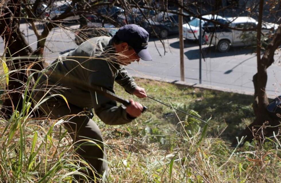 Servicios Públicos: realizan trabajos de mantenimiento en calle Iguazú