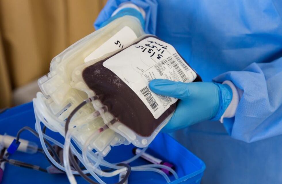 Donación de plasma de pacientes recuperados de coronavirus: cómo está la situación en Entre Ríos