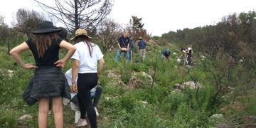 Implantaron 40 árboles autóctonos en La Cumbre\u002E