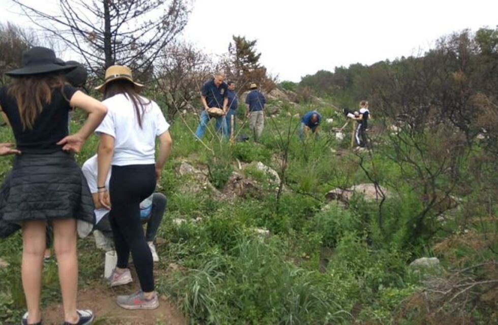 Implantaron 40 árboles autóctonos en La Cumbre