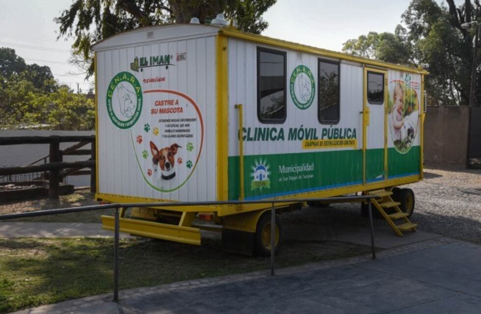 Con un protocolo especial, el lunes vuelven las castraciones de mascotas a la Capital