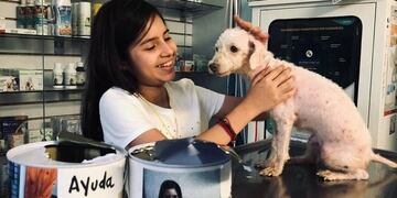 Una nena donó todos sus ahorros para salvar a una perrita rescatada de la calle