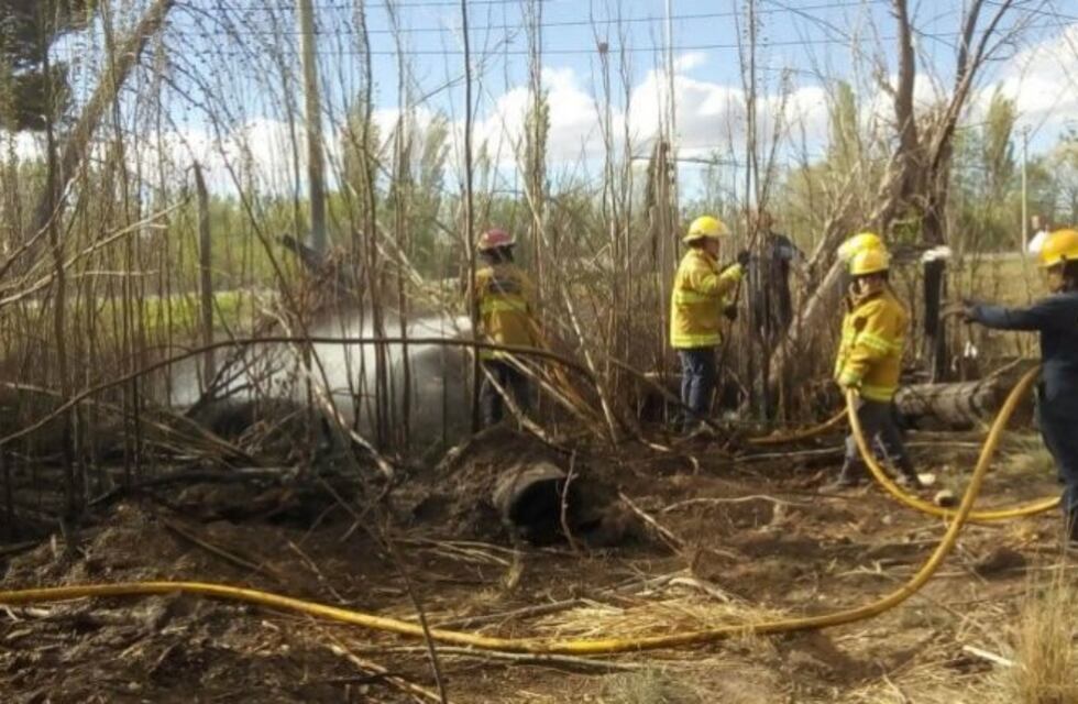 El viento generó un incendio de pastizales en Plottier