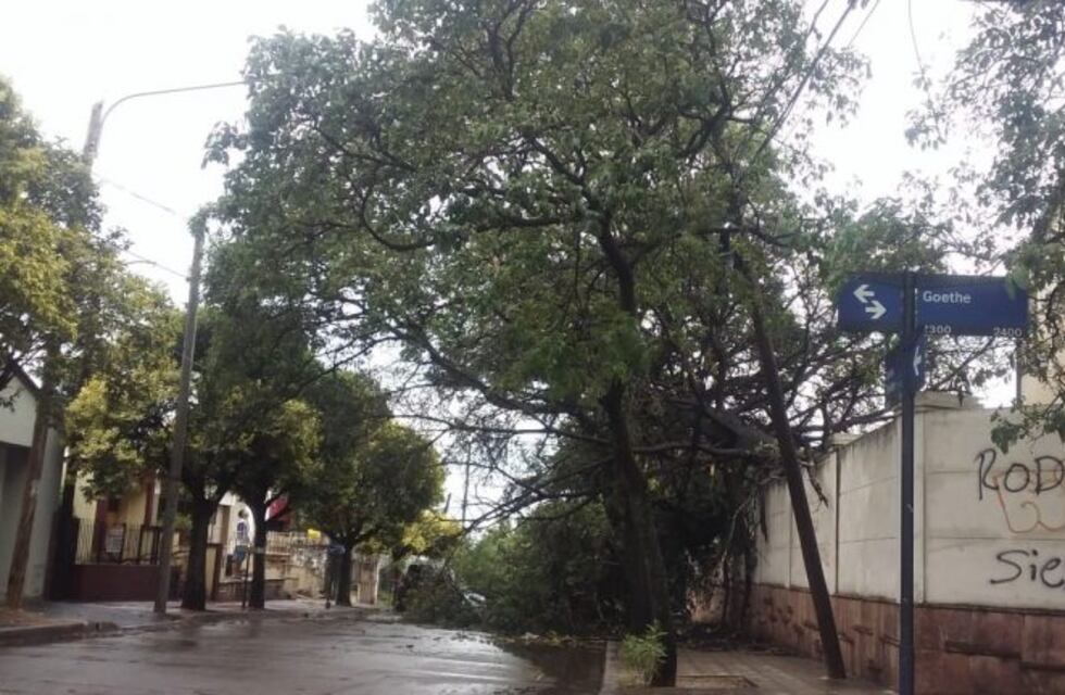 Tormenta en Córdoba: árboles y carteles caídos, cortes de luz y semáforos fuera de servicio