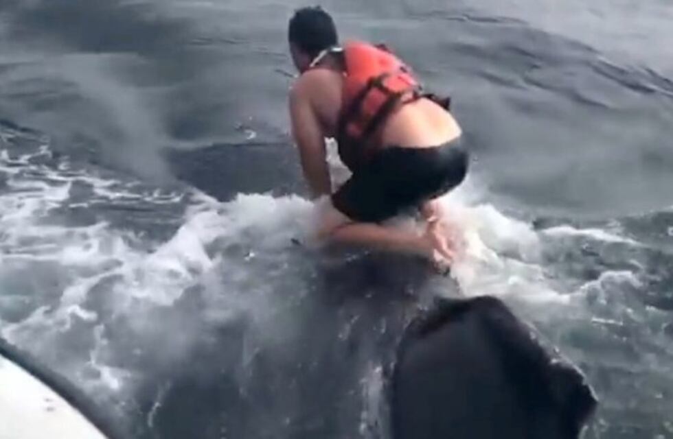 Un pescador saltó sobre una ballena para salvarle la vida