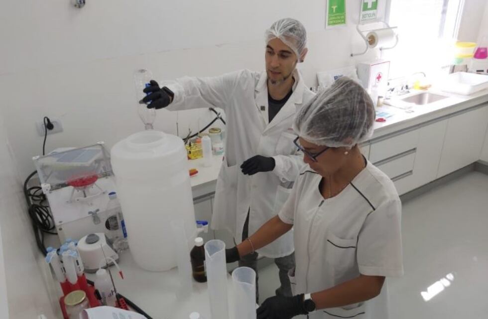 La comuna de Alvear produce alcohol en gel y lo entrega gratis a instituciones