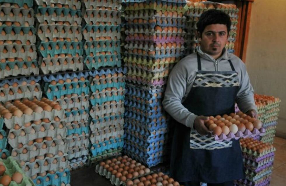 Todo lo que hay que saber antes de comprar huevos
