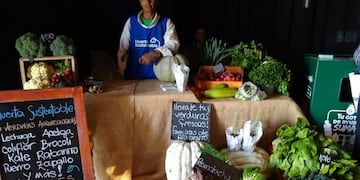 Huertas sustentables Río Cuarto