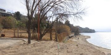 Arboleda quemada en la zona de Playa Esmeralda en Carlos Paz