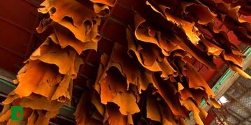 Cerraron una curtiembre por daño ambiental\u002E