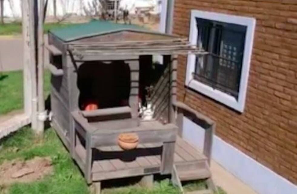 Un hombre salió a su jardín y encontró dos niños durmiendo en la casita de juguete de su hija