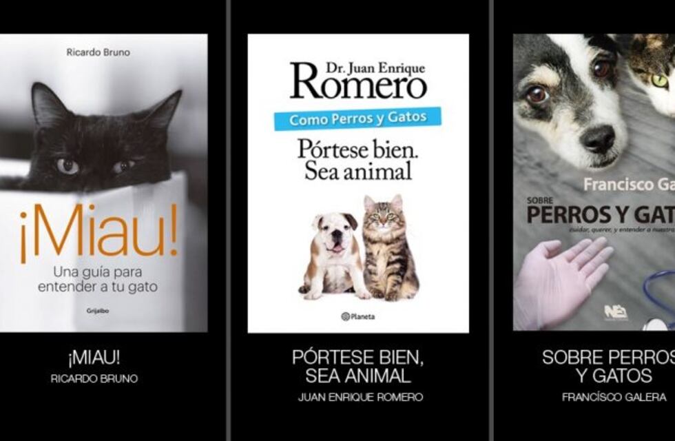 El libro recomendado de la semana: ¡Miau!