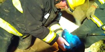 Rescate del perrito (Villa María Vivo)