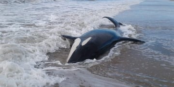 El ciudadano web de Mar Chiquita