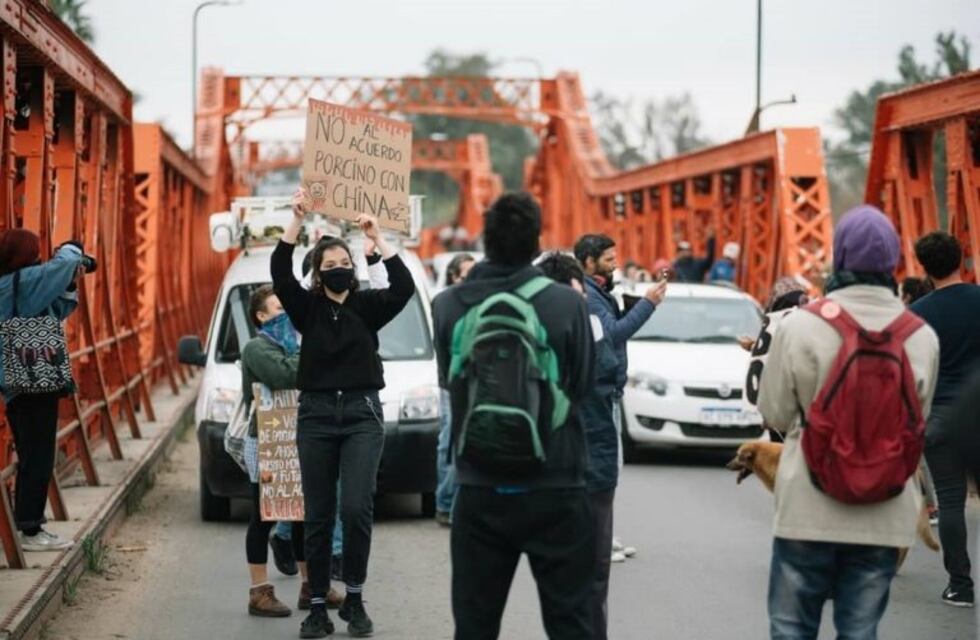 Manifestación y disturbios de ambientalistas por la megaproducción de cerdos