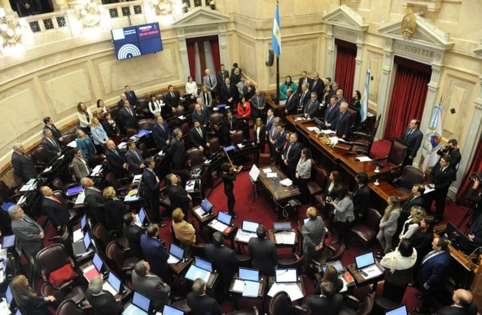 Aborto: el 59% de nuestros lectores se pronunció por la despenalización en el nuevo Código