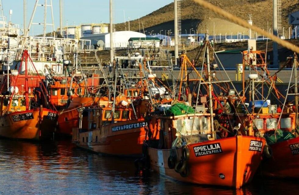 Puerto Caleta Paula: decomisan langostinos frescos no apto para el consumo