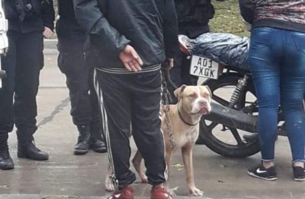 Pareja fue detenida por arrastrar a un perro desde una moto