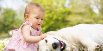 Una dulce escena: un perro le enseña a gatear a una bebé